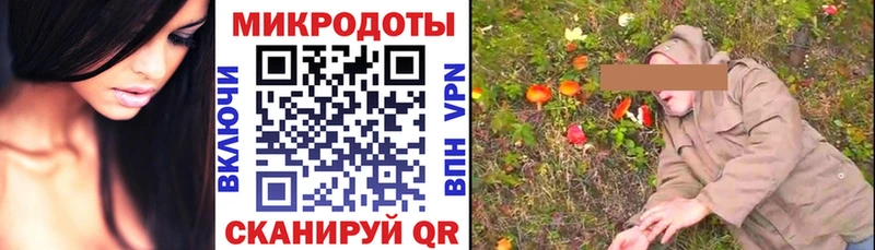 закладка  Апрелевка  Галлюциногенные грибы Psilocybe 